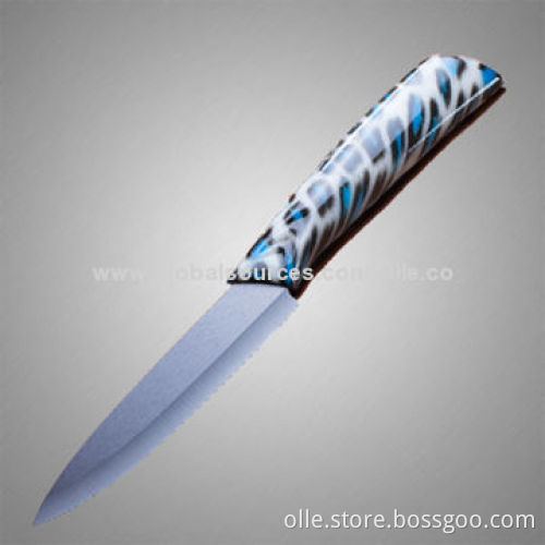 Ceramic Chef Knife with Black Ceramic Blade and Fashionable Handle